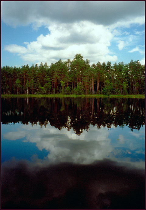 http://avyaly.narod.ru/PhotoAlbums/Summer_2002/forest_lake_1.jpg